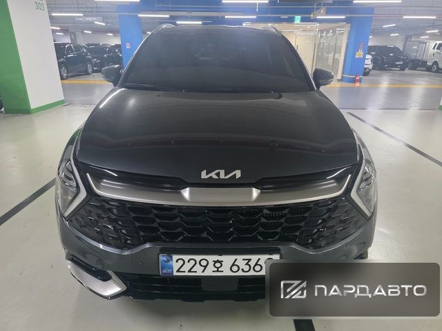 Kia Sportage (NQ5)