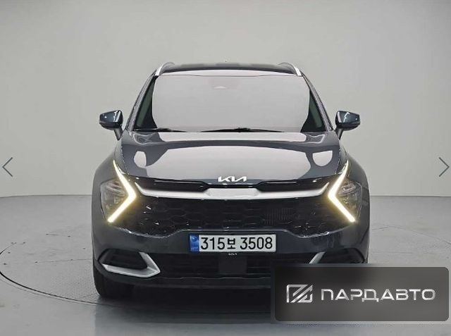 Kia Sportage (NQ5)