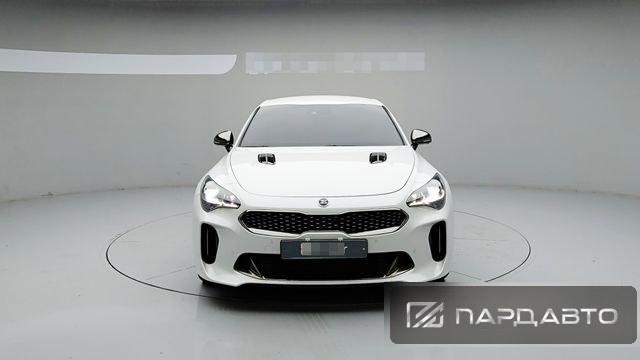 Kia Stinger (CK)