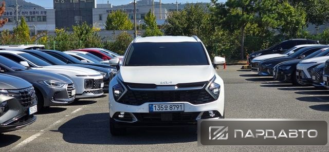 Kia Sportage (NQ5)