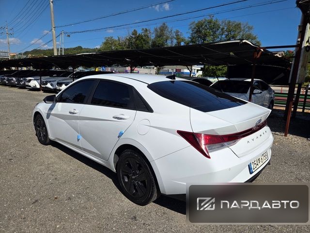 Hyundai Avante (CN7)