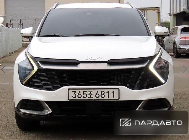 Kia Sportage (NQ5)